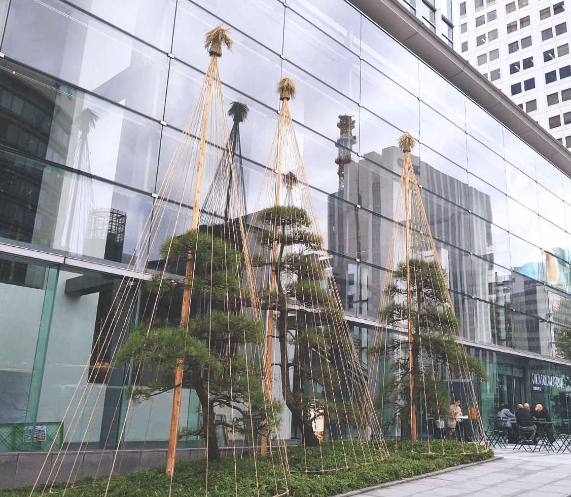 株式会社関谷造園_造園工事写真