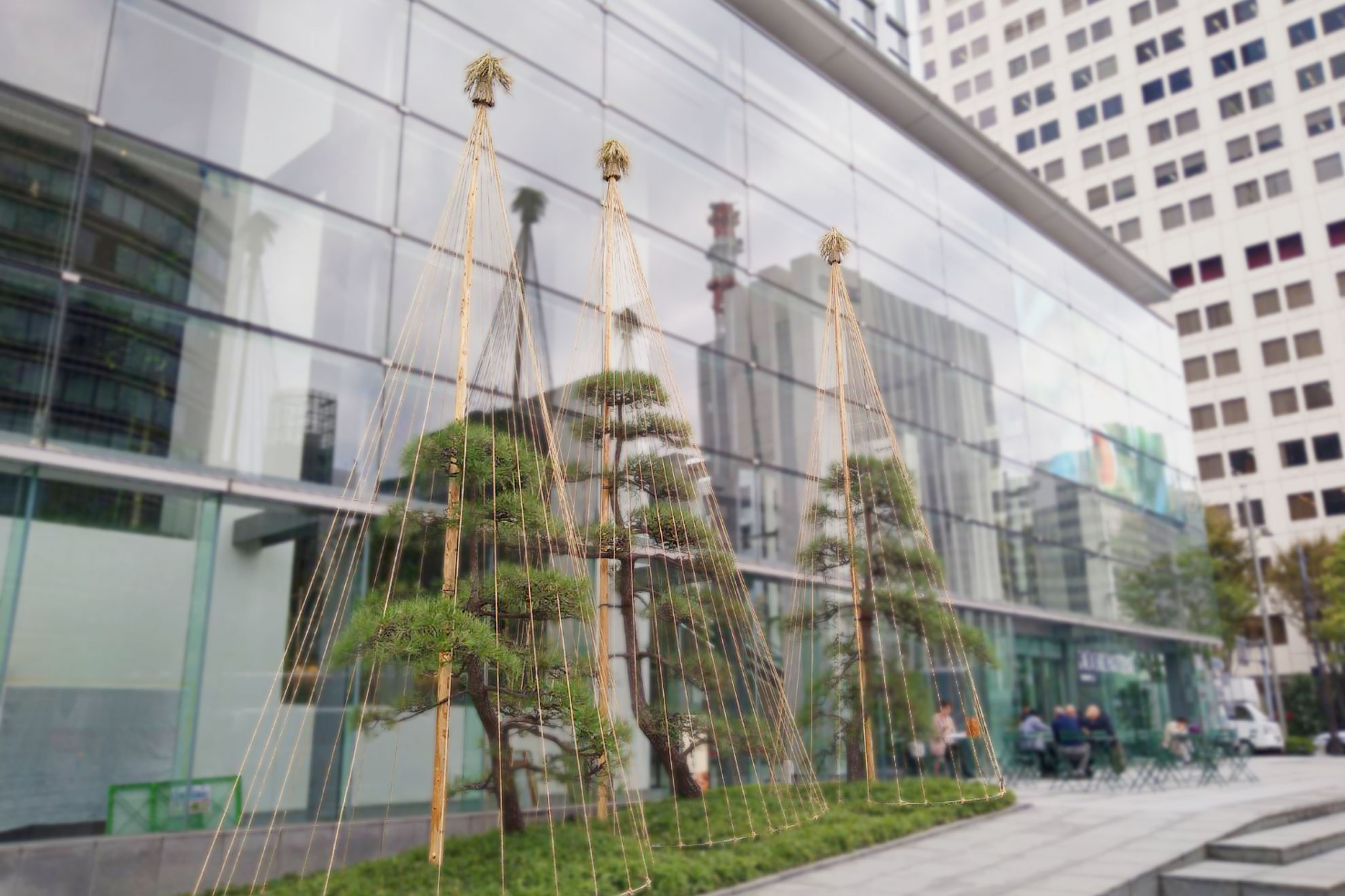 株式会社関谷造園_施工実績