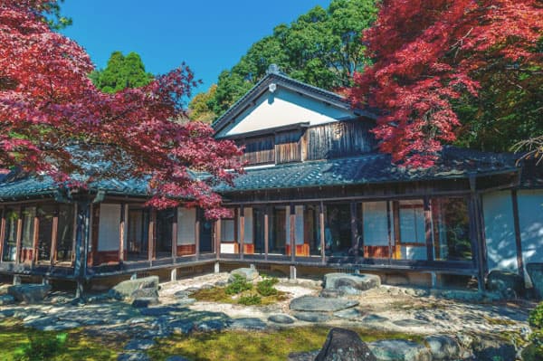 紅葉が綺麗な日本庭園