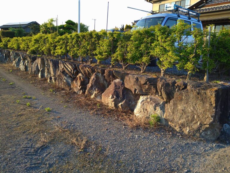 石垣（野面積み）